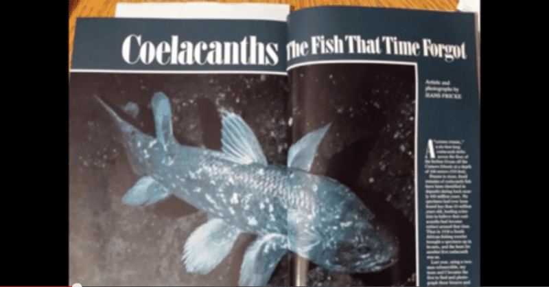 Coelacanths magazine picture