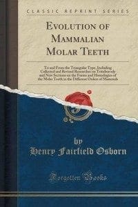 Evolution of Mammalian Molar Teeth by Henry Fairfield Osborn