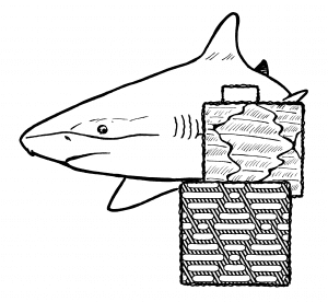 Sharklet is a company that is copying shark skin to make antibacterial surfaces.