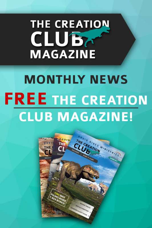 Red Panda | The Creation Club | A Place for Biblical Creationists to ...