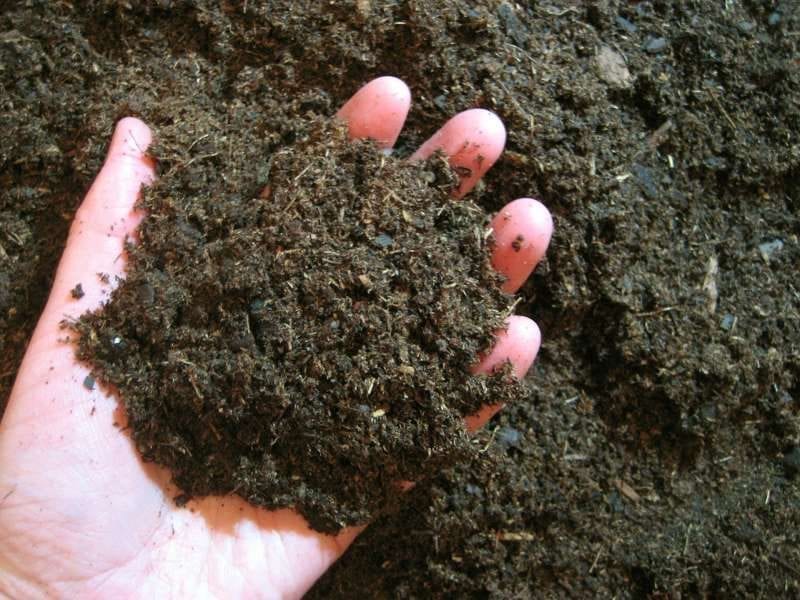 Brown loamy soil held loosely in a hand