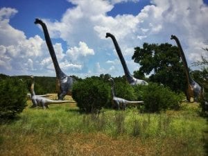 Dinosaur - long-necked sauropod reconstruction. Photo copyright David Mikkelson 2017
