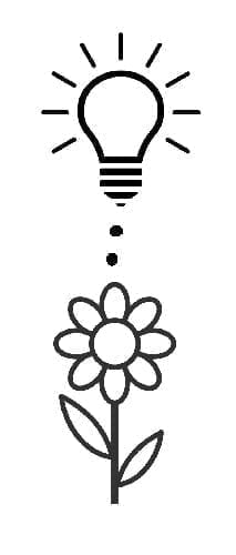"Genius" Flower with Lightbulb