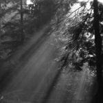 Crepuscular Rays vintage photo