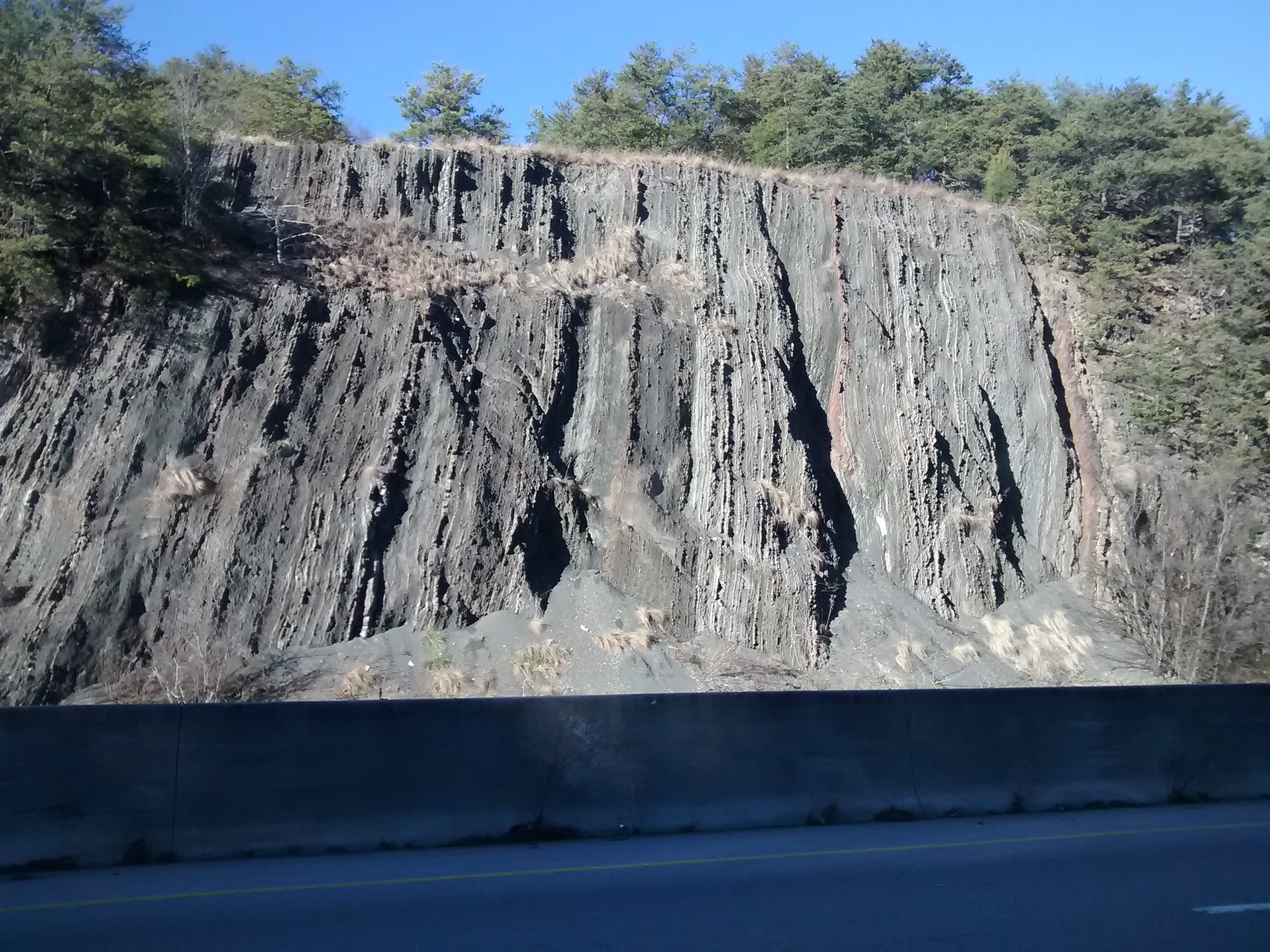 Road cut showing layers of sedament uplifted to a nearly vertical position. The layers show no sign of erosion or bioturbation.