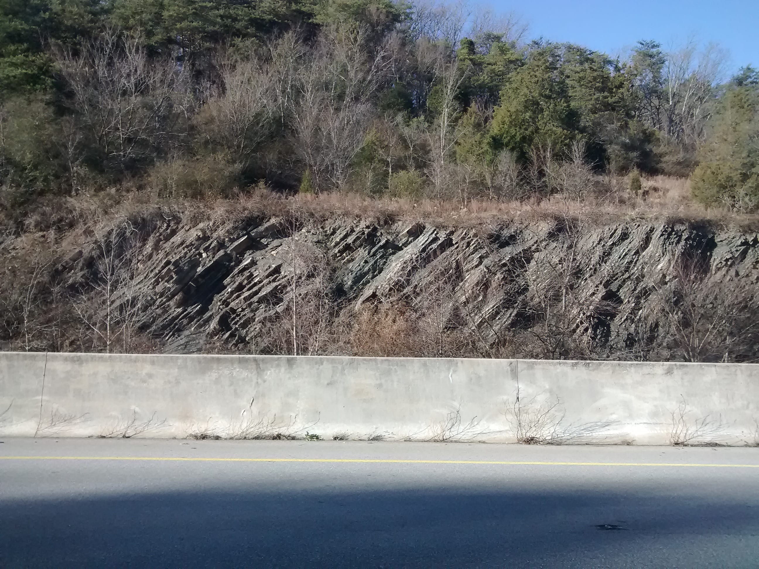 Road cut showing sedamentation layers uplifted into a close to vertical position.