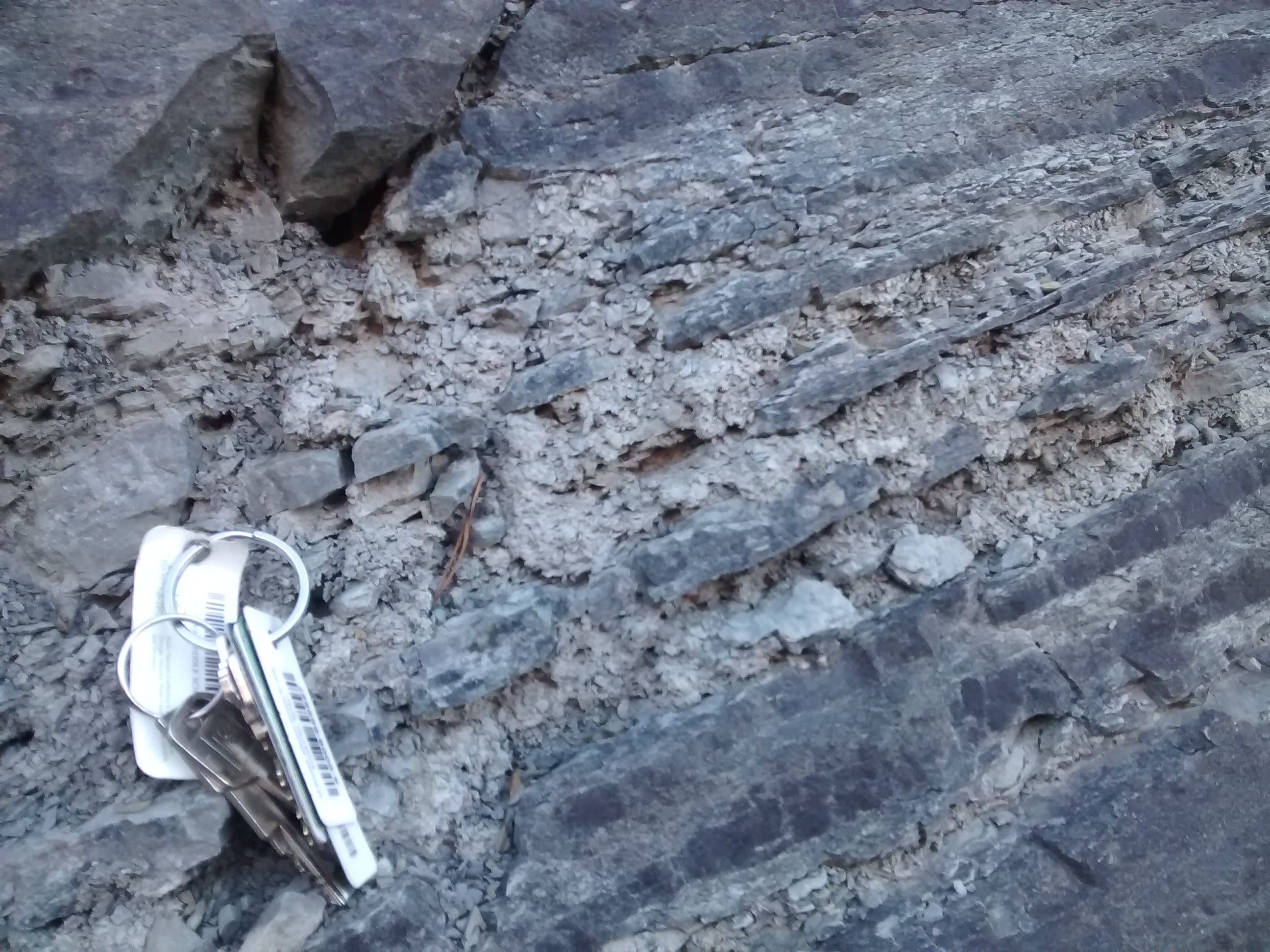 Small laminated sedamentation layers next to a set of keys for scale (layers less than 1 inch think)