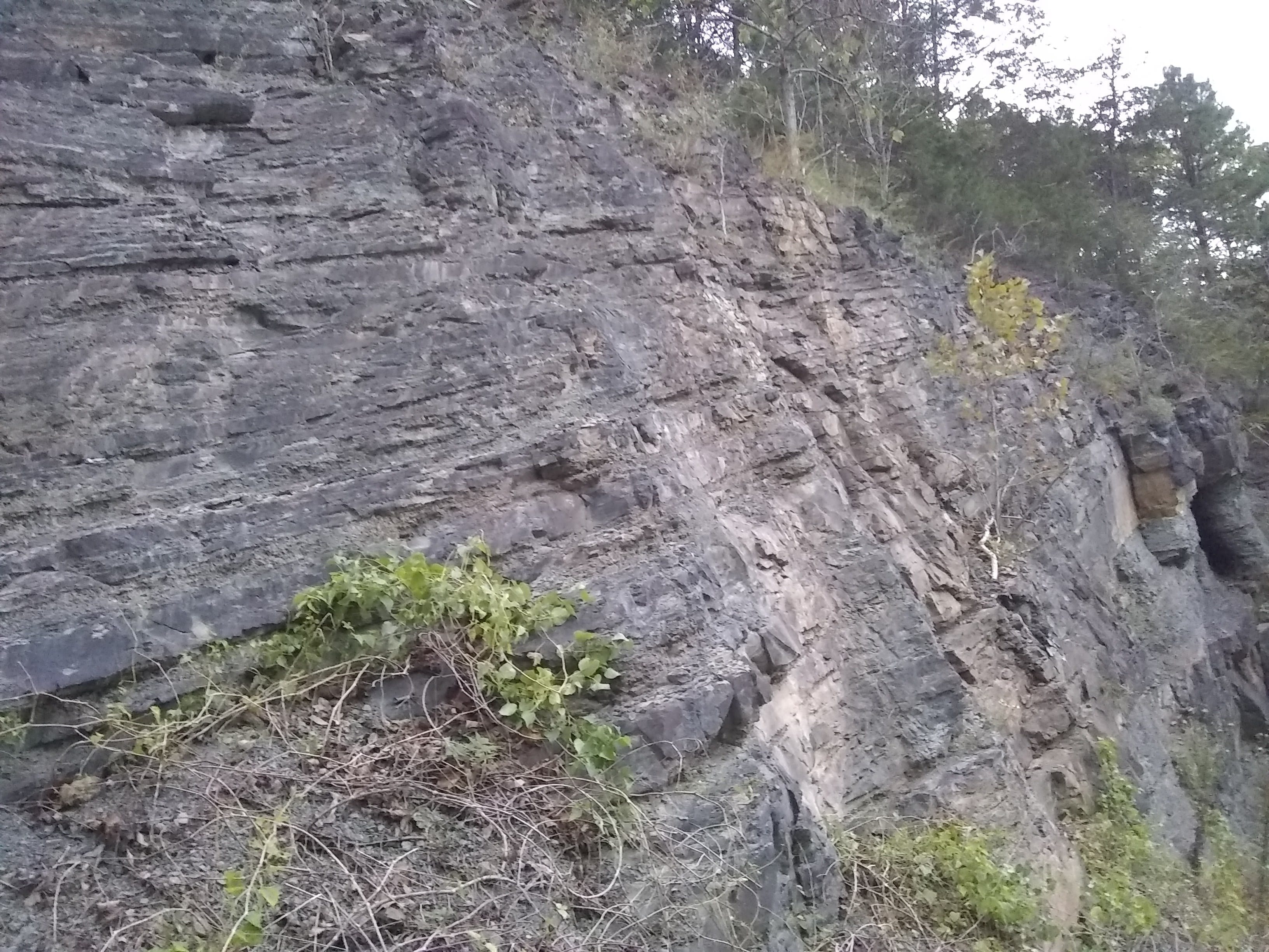 Road cut showing layers of sedament showing no signs of erosion or bioturbation.