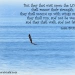 Wendy McDonald, Wait on the Lord with bald eagle soaring over water