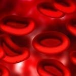 Red Blood Cells CG image, pixabay