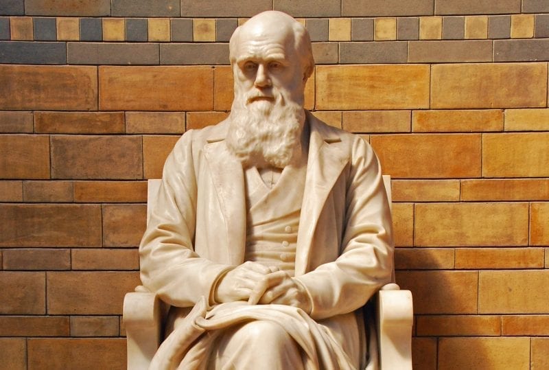 Darwin Statue: © Stbernardstudio | Dreamstime.com File ID: 34106562