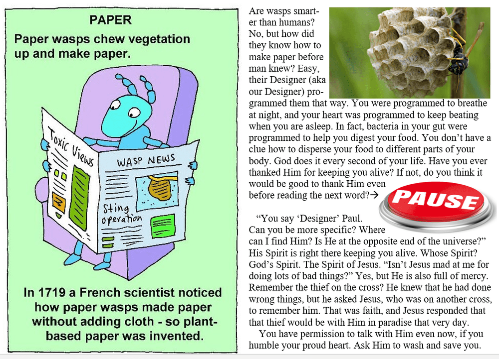 CR-Ministries-paper-wasp-meme