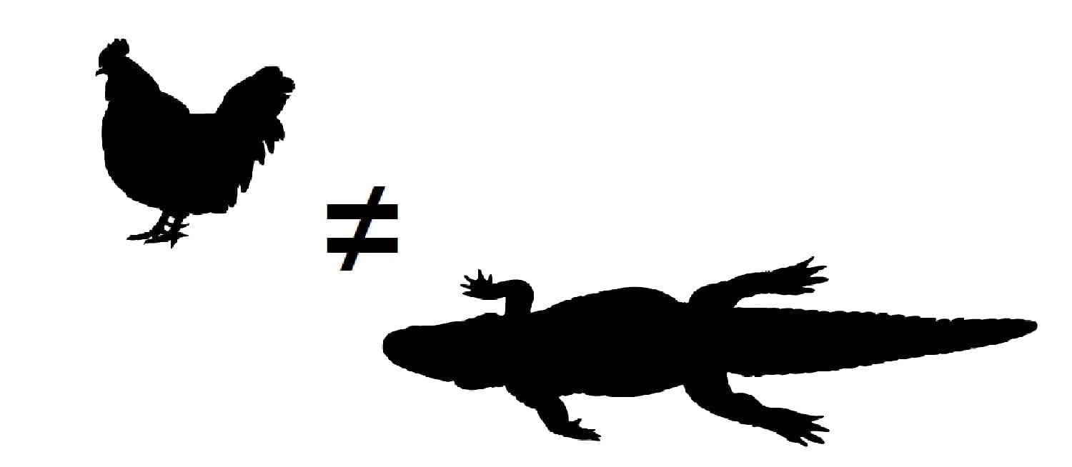 Chicken ≠ Alligator: adapted from ID 86551549 © Vladimir Velickovic | Dreamstime.com