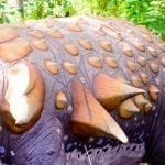 Nodosaur back spines closeup: ID 133335116 © Geert Van Keymolen | Dreamstime.com