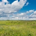 Russian prairie under blue skies, photo credit: pxhere