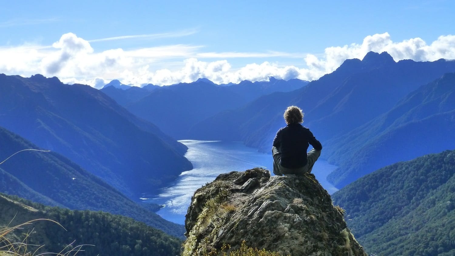 Man sitting at the summit of a hike overlooking Kepler Bay NZ: Image by Gerralt van Soest from Pixabay