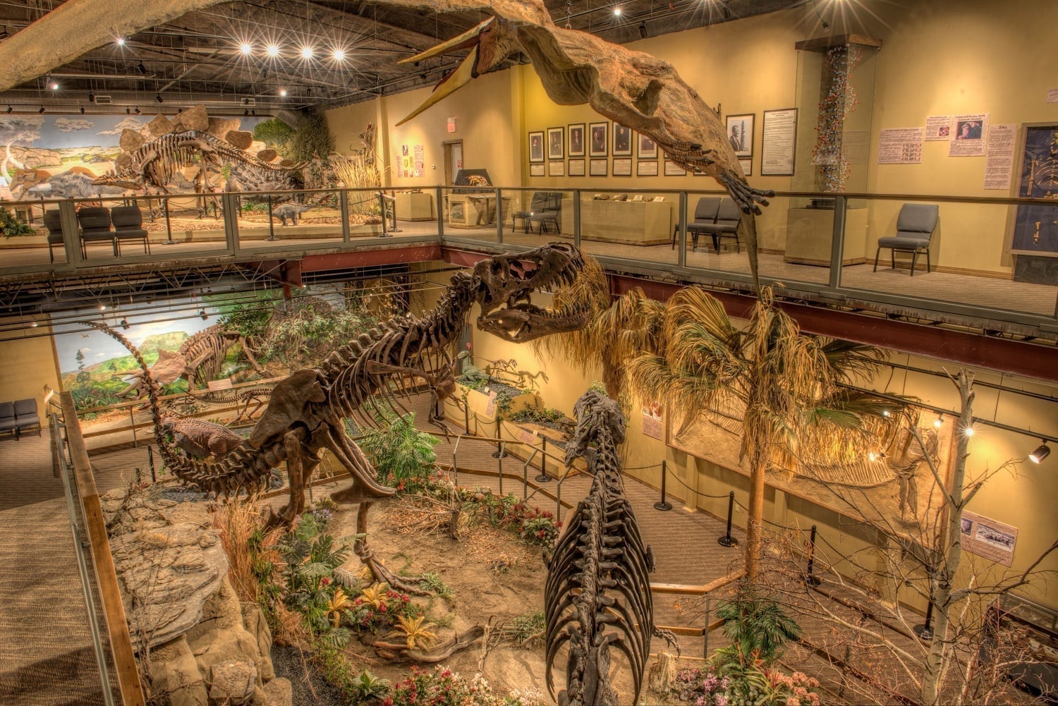 dinosaur museum near yellowstone