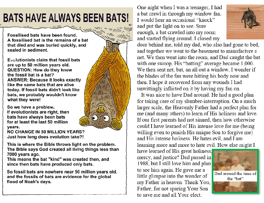 Meme with a drawing and photos of bats as well as the words transcribed below