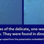 Two images of the delicate, one-way valves from veins. They were found in dinosaur soft tissue! (Image copied from the presentation embedded below)