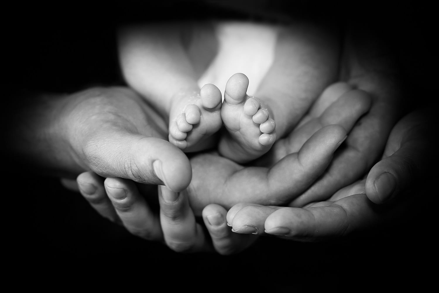 Baby feet cradled in parents' hands: ID 41326530 © Coreen Bester | Dreamstime.com