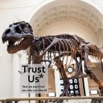 Sue the T.rex holding a 'sign' saying Trust Us, but we won't tell you why you should, adapted from: ID 27396520 © Cmlndm | Dreamstime.com