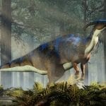 Parasaurolophus member of the hadrosaur family CG rendering: ID 135128430 © Daniel Eskridge | Dreamstime.com