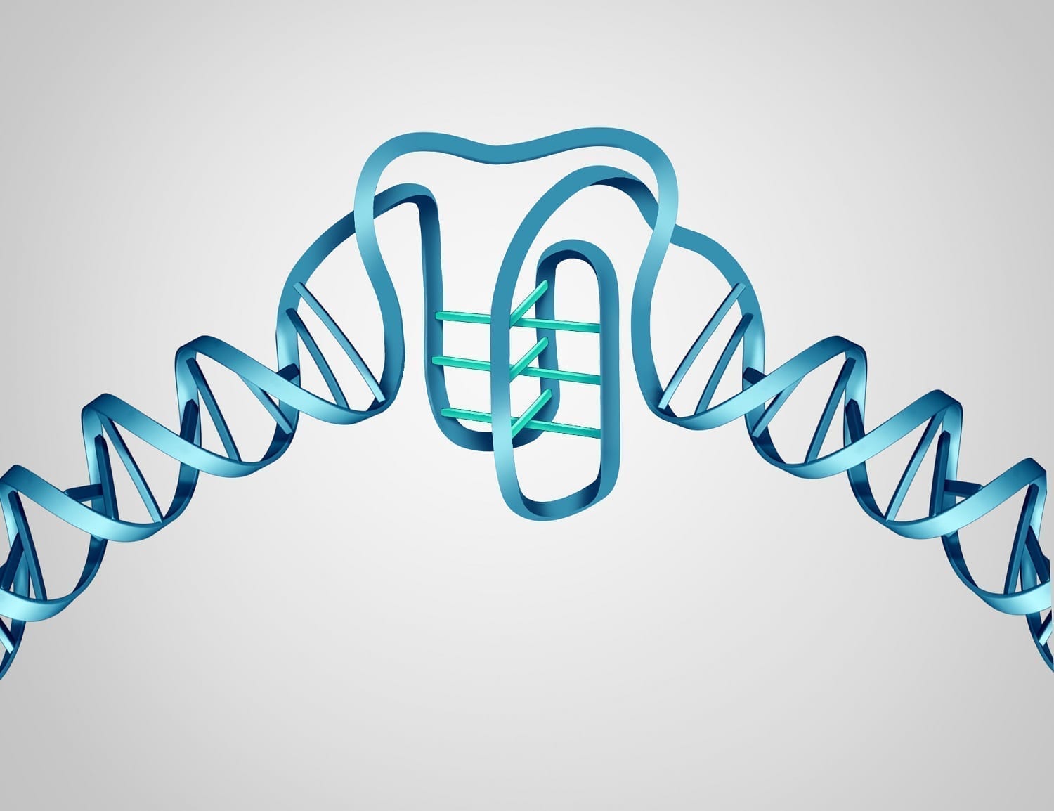 DNA structure showing "I-motif" addition graphic: ID 115590529 © Skypixel | Dreamstime.com