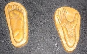 Casts of human and ape footprints from the San Diego Zoo, photo credit J.D. Mitchell