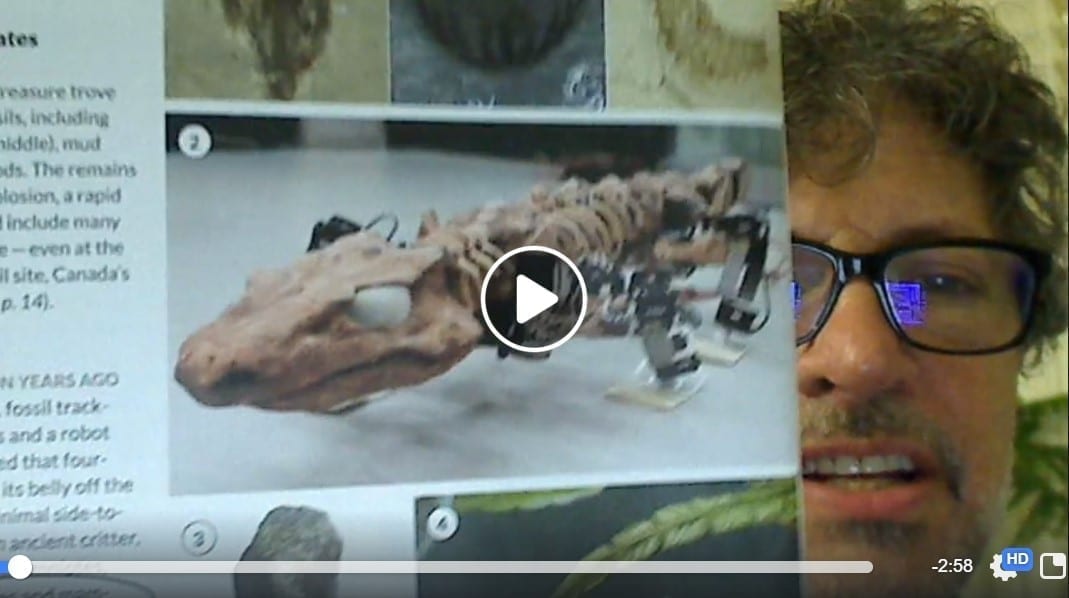 Dr Jackson presenting the 2019 fossil findings YouTube still