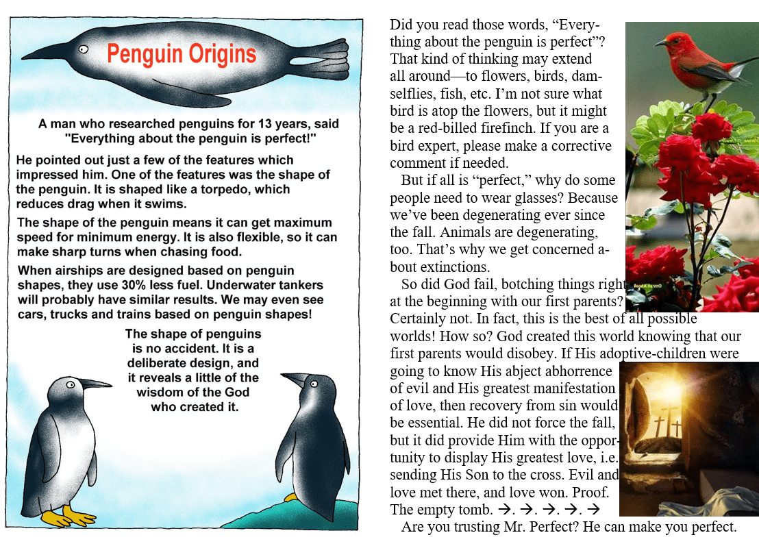meme of perfect penguins