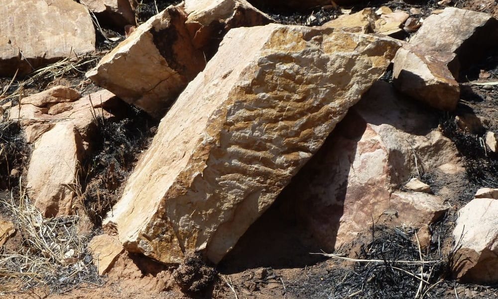 Stone slab with ripples along the edge, photo credit: Tas Walker