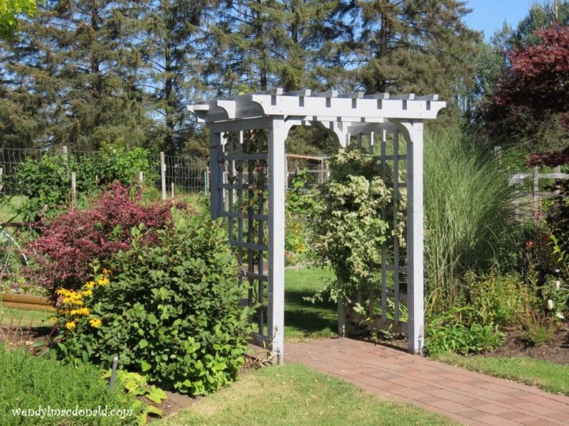 Garden trellis with deer fencing, photo credit: Wendy MacDonald