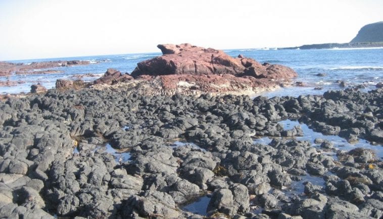 Basalt at Kitty Miller Bay, Phillip Island, photo credit: Tas Walker