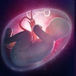 Human fetus looking at a light, Illustration 60856321 / Fetus Womb © Mopic | Dreamstime.com