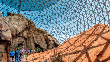 Henry Doorly desert dome: Photo 44380808 / Henry Doorly Zoo © Fotoeye75 | Dreamstime.com
