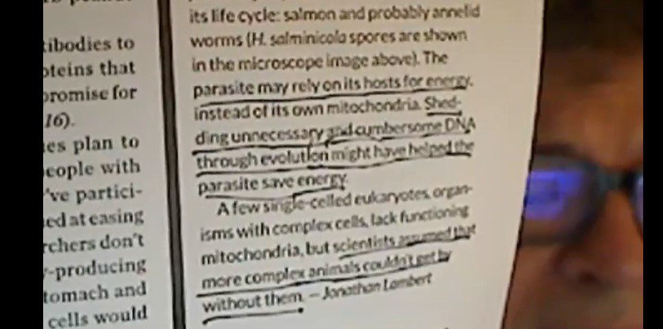 Parasite mutations magazine, Dr J video still