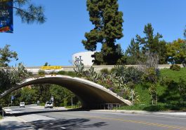University of California, Irvine, bridge: Photo 179573955 © Steven Cukrov | Dreamstime.com