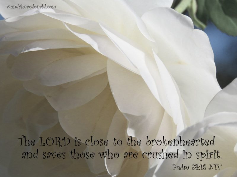 White rose with Psalm 34:18 NIV: “The LORD is close to the brokenhearted and saves those who are crushed in spirit.