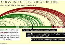 Arched lines showing connection between the rest of the Bible and Genesis, photo credit: Todd Wood