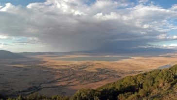 Ngorongoro crater, Tanzania: Photo 7948923 © Sefi Greiver | Dreamstime.com