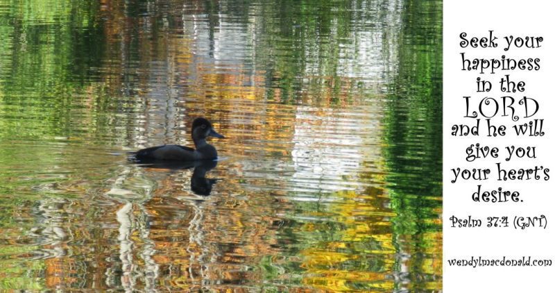 Duck on water with Psalm 37:4, photo credit: Wendy MacDonald
