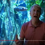 Sargasso sea eels, Bruce Malone video still