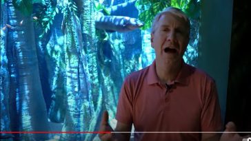 Sargasso sea eels, Bruce Malone video still