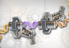 CRISPR illustration, photo credit: Ernesto del Aguila III, NHGRI