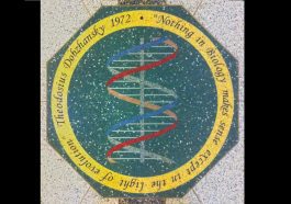 Mosaic at Notre Dame Uni. of Dobzhansky's statement that "Nothing in biology makes sense except in the light of evolution."