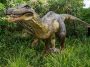 Baryonyx dinosaur model standing in tall grass, Perth, Australia: Photo 68743152 / Dinosaur Eating Grass © Anastasia Yakovleva | Dreamstime.com