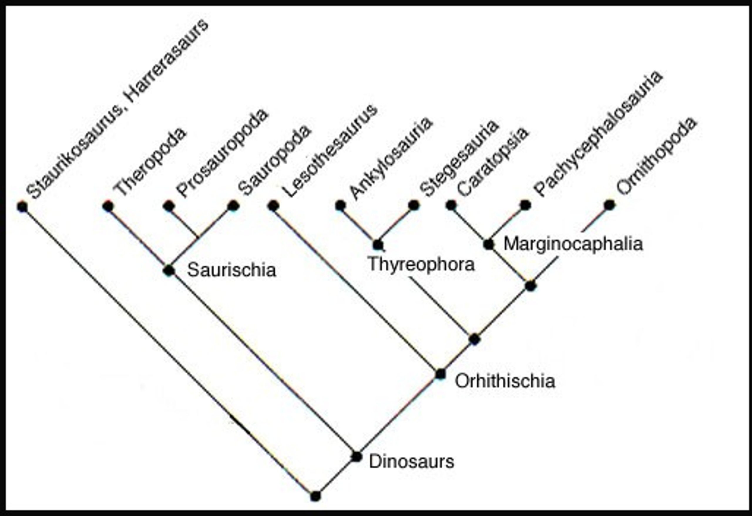 Proposed dinosaur relationship clade
