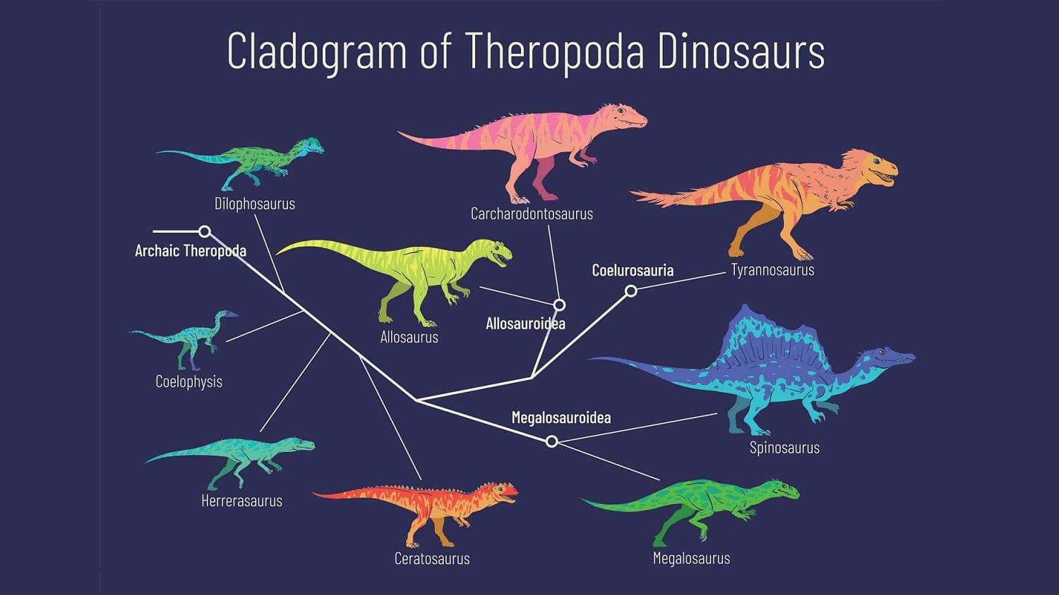 Cladistics: Organizing Living Things based on Worldview – The Creation ...