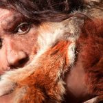 Neanderthal man gazing out from behind furs: Photo 120912114 © Procyab | Dreamstime.com