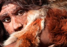 Neanderthal man gazing out from behind furs: Photo 120912114 © Procyab | Dreamstime.com